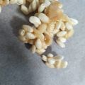 クックXAXIOR☆'s cooksnap of when they made 手がとまらない☆キャラメルポン菓子.