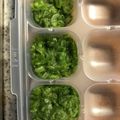 kanyamiffy's cooksnap of when they made 【離乳食 中期】オクラペースト きざみ.