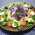 辰夫女子's cooksnap of when they made 紫キャベツと白菜のサラダ.