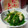 卯月のうさぎ２０１４'s cooksnap of when they made 松山あげとほうれん草のおひたし♪超簡単.