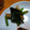 クックWXFOGE☆'s cooksnap of when they made 簡単副菜★ちくわとニンニクの芽の炒め物.