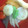 xyzクック's cooksnap of when they made きっちり量らなくて大丈夫！簡単おでん.