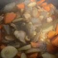 まいたけさん↑'s cooksnap of when they made 鶏もも肉と根菜類とこんにゃくの煮物.