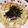 DORA＊DORA's cooksnap of when they made 簡単もやしの卵とじ（丼）.