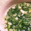 料理手帖's cooksnap of when they made りゅうじさんの長ネギのくたくたスープ.