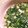 料理手帖's cooksnap of when they made りゅうじさんの長ネギのくたくたスープ.