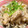 辛名類's cooksnap of when they made サバの水煮缶炊き込みご飯.