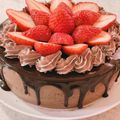 yucally's cooksnap of when they made 苺＆チョコレートのふわふわムースケーキ.