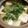 ぱにぱる's cooksnap of when they made 湯豆腐.