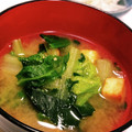 くみちょ～～'s cooksnap of when they made ほうれん草と白菜(＋油揚げ)の味噌汁.