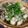 むゆる's cooksnap of when they made 超シンプル！土鍋で牡蠣の炊き込みごはん.