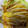 no1642's cooksnap of when they made 簡単節約★お好み焼き風キャベツとたまご！.