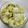 トモコSUN's cooksnap of when they made とっても簡単！！ビニール袋で白菜のお漬物.