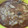 hotarukko's cooksnap of when they made 残ったすき焼きをリメイク♡トマトすき焼き.
