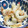 野菜係's cooksnap of when they made すぐできる！ちくわのわさびチーズ和え.