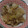 オリオバナ's cooksnap of when they made 大根と豚ロースのオイスターソース炒め.