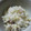 ぷうちゃん's cooksnap of when they made さつまいもとじゃこの炊き込みごはん.