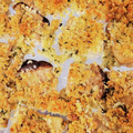 Nat728's cooksnap of when they made エリンギの香草パン粉焼き.