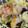 わたるんママ's cooksnap of when they made 中華丼に！我が家の八宝菜☆.