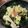 わんあみ's cooksnap of when they made 白菜とワカメの酢の物.