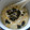 ☆★ＨＡＣＨＩ♪★☆'s cooksnap of when they made 簡単♪風邪にも♪やさしい味♪卵のお粥.