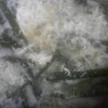 しちりんせん's cooksnap of when they made デトックス！　ニラのかき玉汁.