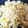 hatz8888's cooksnap of when they made 鶏そぼろ炒飯.