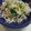 aizu_po's cooksnap of when they made 小松菜としらすのぽん酢和え.