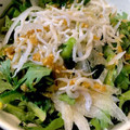ばたみそーぱん☆'s cooksnap of when they made 春菊としらすの和風サラダ.