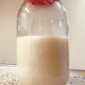 アチャこ's cooksnap of when they made 誰でも簡単！甘酒.