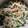 クック4C4DBF☆'s cooksnap of when they made ほうれん草と切干大根のマヨ胡麻和え.