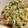 料理ニガテ系女子☆'s cooksnap of when they made 豚肉と水菜と卵の炒め蒸し(丼).