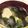 つきみそう⭐️'s cooksnap of when they made でっかい豆腐とほうれん草とワカメお味噌汁.