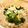 ｙｏｕ５'s cooksnap of when they made 簡単！もやしとわかめのサラダ♪.