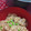 長野市えみちゃん's cooksnap of when they made 我が家の定番♪ベジ☆きのこの炊き込みご飯.