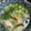 ちゃぎー's cooksnap of when they made 豆腐とわかめのネギスープ.