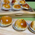 ☆あいちゃん's cooksnap of when they made アーモンドミルクで★チョコみるく丸パン.
