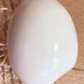 とんとんともた's cooksnap of when they made 失敗しない！簡単半熟ゆで卵　味玉にも.