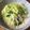 北京パンダ's cooksnap of when they made キャベツもやしにらの豚しゃぶ豆乳鍋.