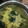 Yokchina's cooksnap of when they made ちぢみほうれん草とふわたま味噌汁.
