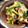 ゆるмαмα's cooksnap of when they made 春菊と舞茸の香り豊かな豚の炒め煮☆.