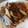 YルンルンK's cooksnap of when they made はやとうりと豚肉の塩麹炒め.