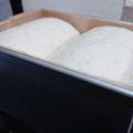 もにまる親方's cooksnap of when they made 自家製天然酵母で焼く簡単1.5斤食パン.