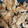 snow012's cooksnap of when they made 香ばしい〜！焼きえのき.