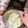クック5OC1WJ☆'s cooksnap of when they made しっとり抹茶のアイスボックスクッキー.