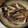 スンダラヘ's cooksnap of when they made 人気検索TOP10入！簡単イワシの煮付け.