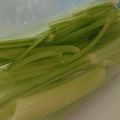 saotty's cooksnap of when they made いつまでもシャキシャキ♪セロリの保存法.