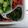 クックVJR2PZ☆'s cooksnap of when they made お弁当に☆あっさりピーマン炒め.