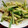 ぱにぱる's cooksnap of when they made 鶏ささみとキュウリの中華和え.