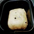 クックGGLXTL☆'s cooksnap of when they made 黒糖レーズンパン（ＨＢ使用）.
